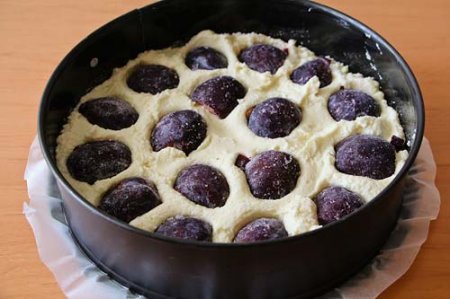 Пирог со сливой от Высоцкой фото