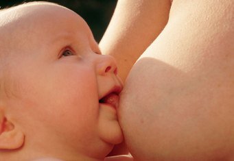 Как отучить от груди малыша фото