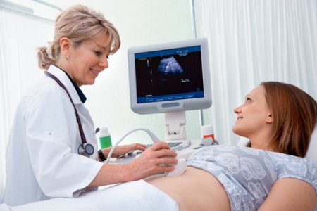Сколько делают узи при беременности фото