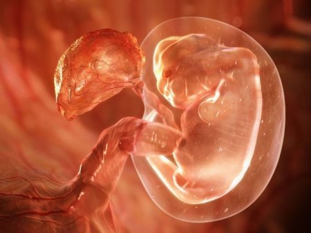 Ощущения при имплантации эмбриона фото