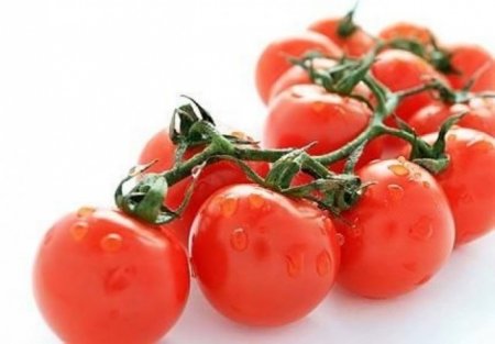 Сонник – красные помидоры фото