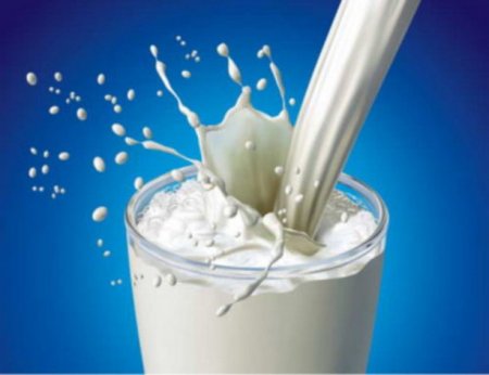 Полезно ли козье молоко для детей до года фото